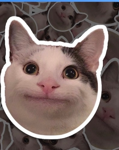 Penelope the white and grey cat with big eyes and a slight smile